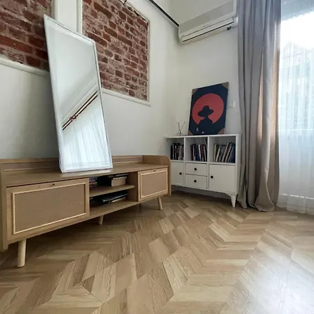 2Br And 2Bath Balcony Apt In Heart Of Isatanbul #3 Istanbul Exterior photo